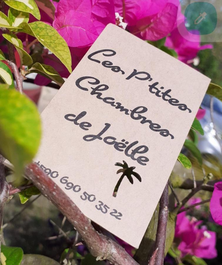 Grand-Bourg  P'Tites Chambres Dans La Campagne De Marie Galante מראה חיצוני תמונה