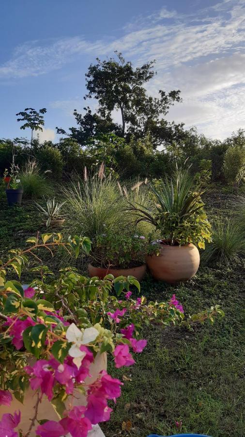 Grand-Bourg  P'Tites Chambres Dans La Campagne De Marie Galante מראה חיצוני תמונה